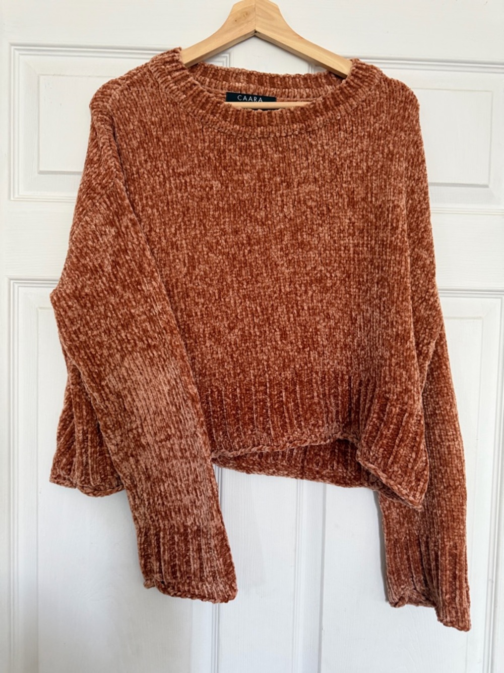 Caara Plush Chenille Crewneck Sweater in Rust
